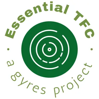 Essential TerraFirmaCraft (TFC)