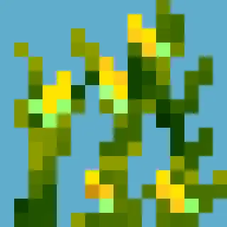 Simple Corn