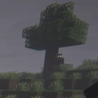 Unknown Null