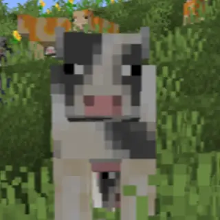 cows by rosie