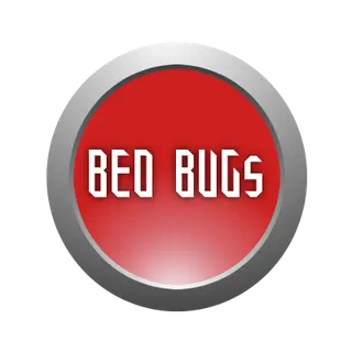Bed Bugs