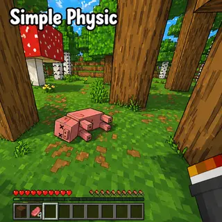 Simple Physic