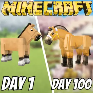 Cosmic Equestrian's 100 Day Horse Challenge
