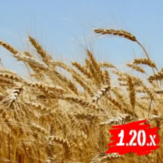 Better Wheat (New versions port)