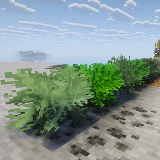 Xemtori Leaves