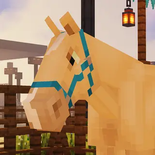 SWEMY_Horseys
