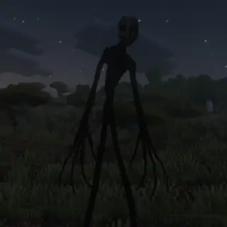 The Stalker's Shadow