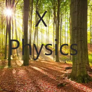 Physics X