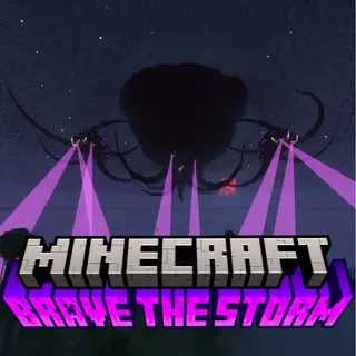 Brave The Storm