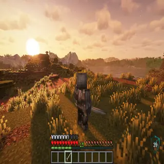 Realistic midevil survival