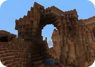 Xenocontendi [16x]