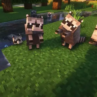 Messed Up Cozy Pack
