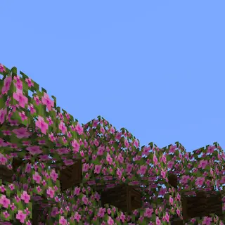 Better Azaleas