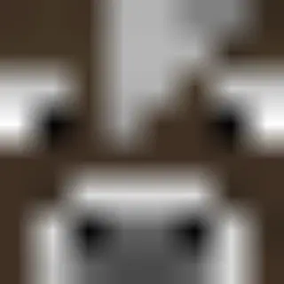 Fixed Animal Eyes v1.0