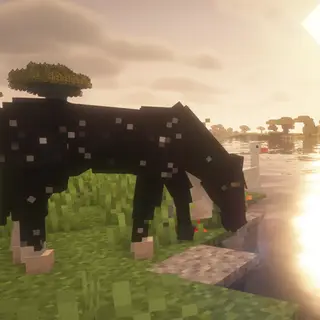 (OLD)star Cove Stables