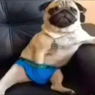 Comfort PvpRP