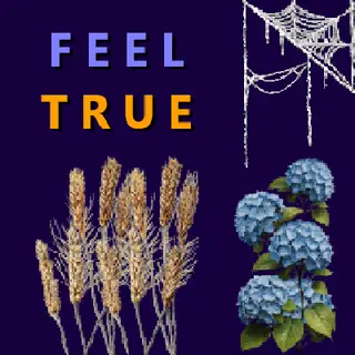 FeelTrue_so_Plenty