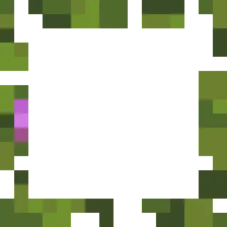 Clear Cut