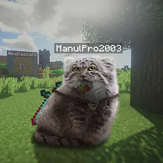Manulcraft