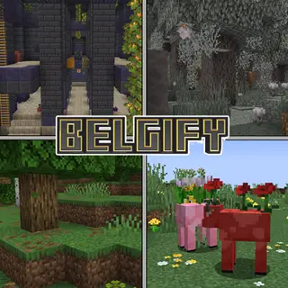Belgify
