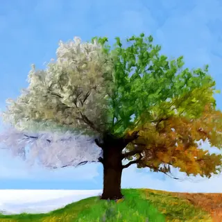 Four Seasons