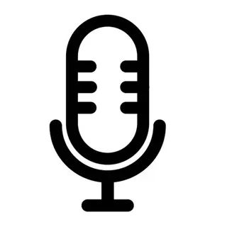 voice & optimization