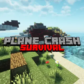 Plane Crash Survival