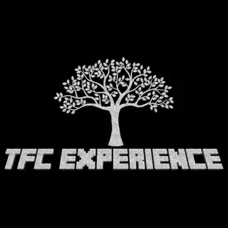 TerraFirmaCraft Experience