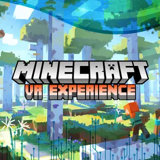VR Experience