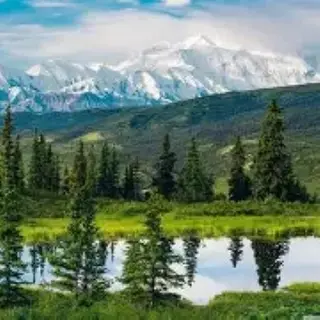 Survival in the Wilderness- Alaska