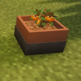 Botany Pots - Pam's HC2 Trees Integration