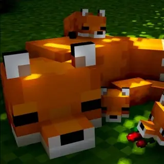 Cute Adventure