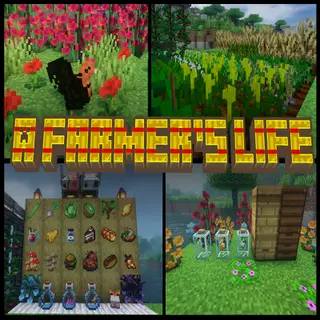 Farmer's Chill Life