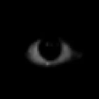 Schizoid (Origin)