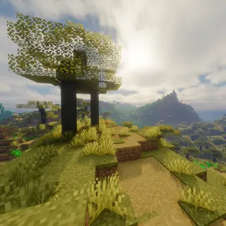 Simple Survival X