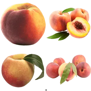 VaultMapple