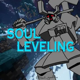 Soul Leveling