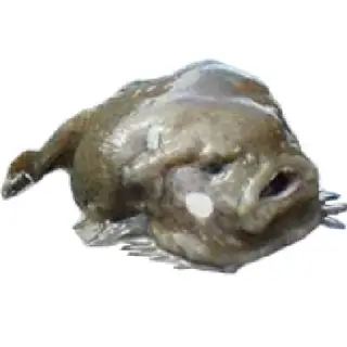 Fongor SMP