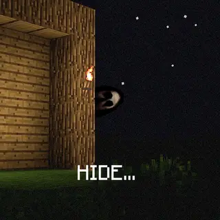 HIDE - Found Footage