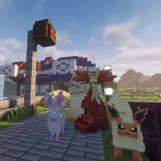 PokeBlock League