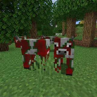 Rebalance Apple Cows