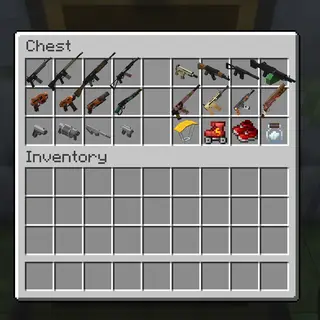 Funz with Gunz