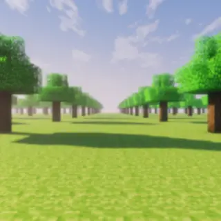 a Wonderland