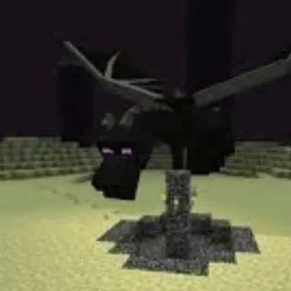 Ender Dragon Epic Fight: Off