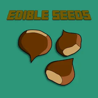 Edible Seeds