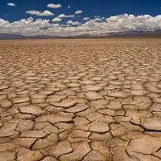 Dry William Wythers