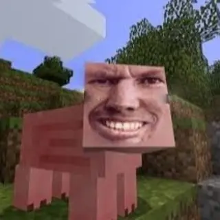 Jameel's Private SMP