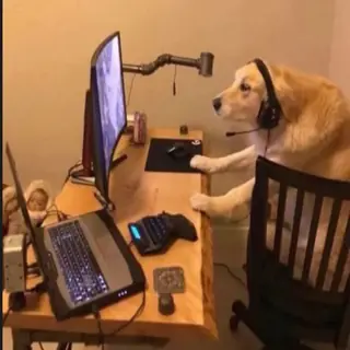 Gamer Dog's Gooncraft