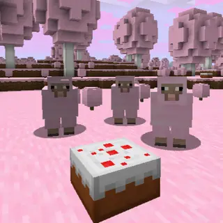 Candy's Land