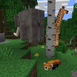 Create a Zoo